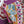 Taormina Rosa Silk Georgette