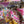 Taormina Rosa Silk Georgette