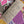 Taormina Rosa Silk Georgette