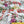 Forever Blooms Silk CDC