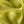 Lime Seta Silk CDC