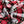 Stewart Check Viscose
