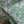 June's Meadow Green - Liberty Tana Lawn™