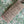 June's Meadow Green - Liberty Tana Lawn™