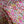 Michelle - Liberty Tana Lawn™
