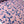 Linear Nature - Liberty Tana Lawn™