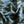 Composition Green/Blue - Liberty Tana Lawn™