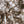 Soltana Clay - Cotton Voile