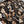 Tuscany Adventure Nero Printed Linen