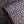 Buds + Blooms Red/Navy Cotton Shirting