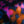 Frances Wild Navy/Fuschia - Liberty Belgravia Silk Satin