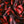 Fragile Blooms Choc/Red - Belgravia Silk Satin