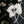 Fragile Blooms Black - Liberty Belgravia Silk Satin