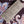 Francoise's Paisley Viscose