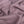 Bouclé Lilac Coating
