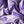 Lilac Silk Dupion