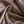 Nuovo Camel Lining