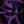 Lin Paisley Mini Violet/Navy - Fancy Lining