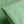 Bubble Cotton Mint