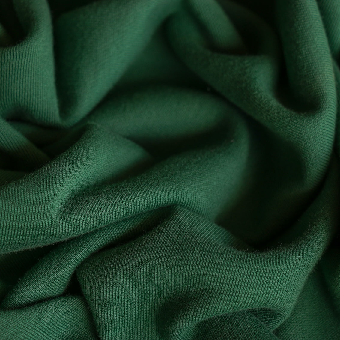 Felpa Forest French Terry