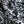 Nero Satin Leopard Crinkle Silk