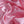 Nuovo Musk Pink Lining (158cm wide)