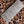 Leopardessa Tan Silk CDC