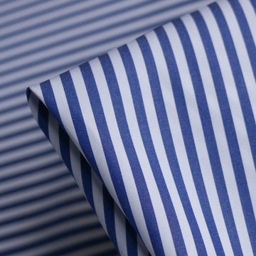 Asavi Bluette Stripe Shirting