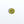 4 Hole Poly Button - Assorted Colours
