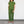 Jensen Pants Pattern