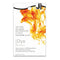 iDye for Natural Fabrics - Gold Ochre