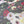 Bouquet Noir Silk Chiffon