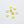 2-Hole Shell Buttons - Assorted Colours