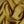 Moss Crepe Sunflower