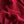 Chilli Pink Rayon Lining (137cm wide)