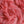 Gette Watermelon Silk Georgette