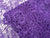 Purple Garden Web