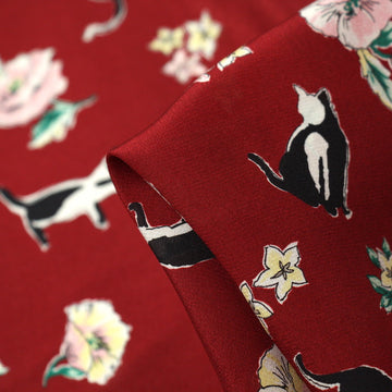 The Faceless Cat CDC