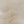 Latte Tulle