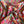 Margaret Annie Green Liberty Tana Lawn™