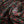 Rose Parade Silk Organza