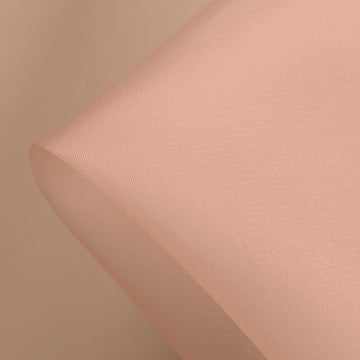 Tone Two Silk Organza