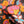Terrazza Floral - Silk Georgette