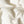 Ivory Silk Dupion
