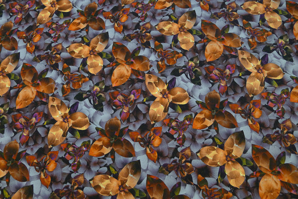 Lily Dusk