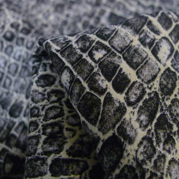 Graphite & Chalk Snake