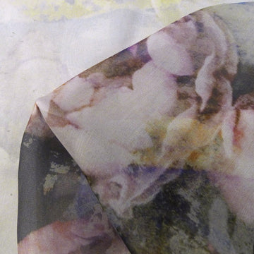 Juliet Roses Garden Ombre