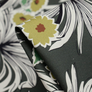 Paradise in Oliveville