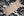 Charbon Dentelle Lace