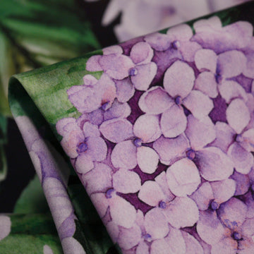 Sweet Hydrangea Black